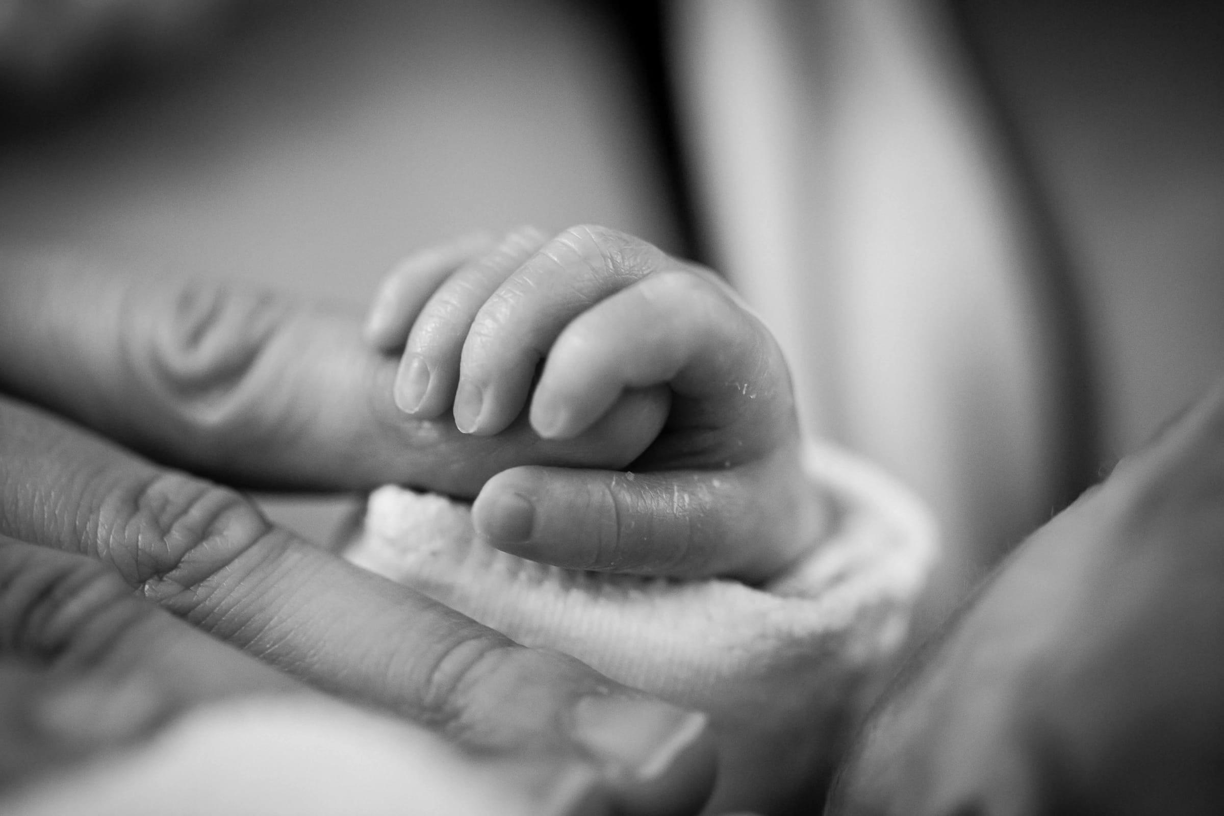 Black and white close-up of a newborn's tiny hand holding a finger