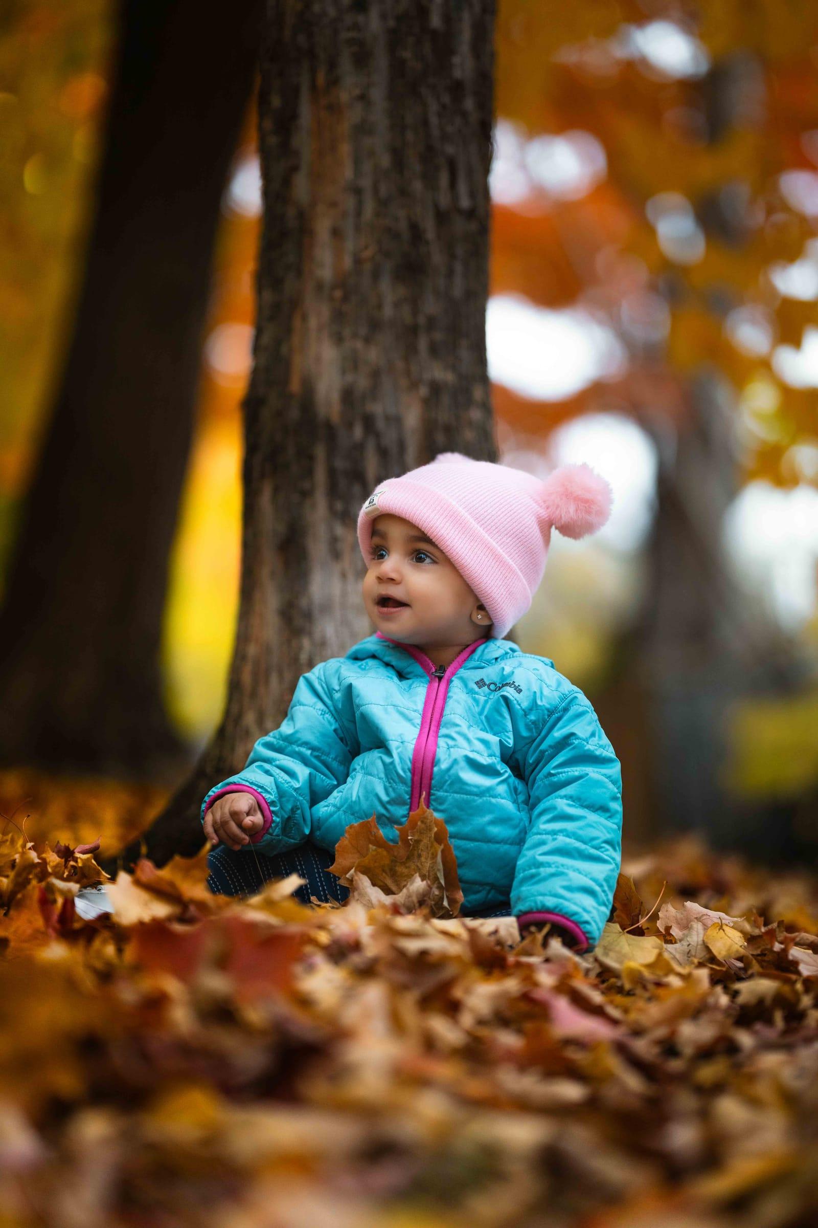 Toddler explores fallen leaves beneath a tree at golden hour